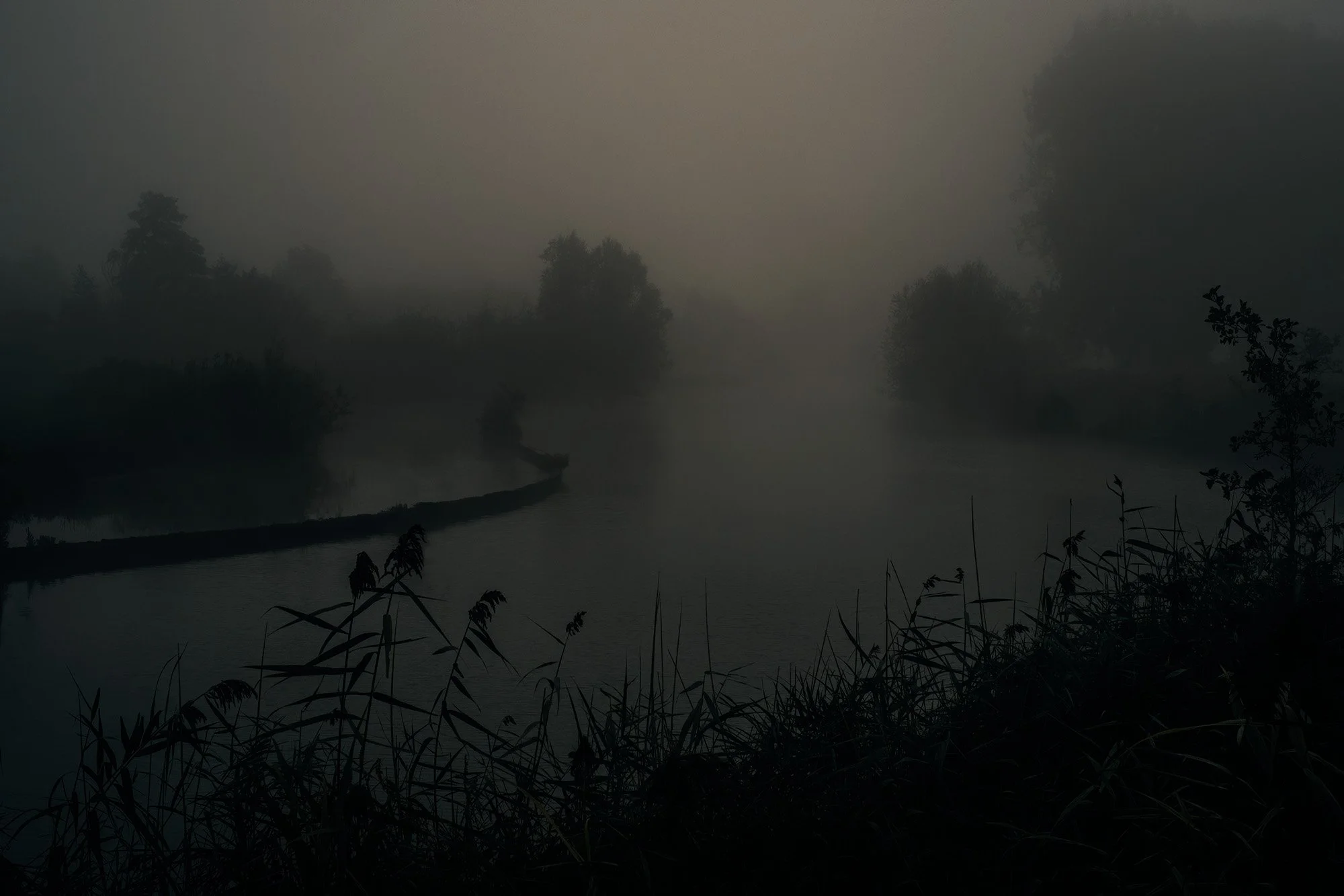 Untitled, 2016 — solitary scene by Pierre Putman